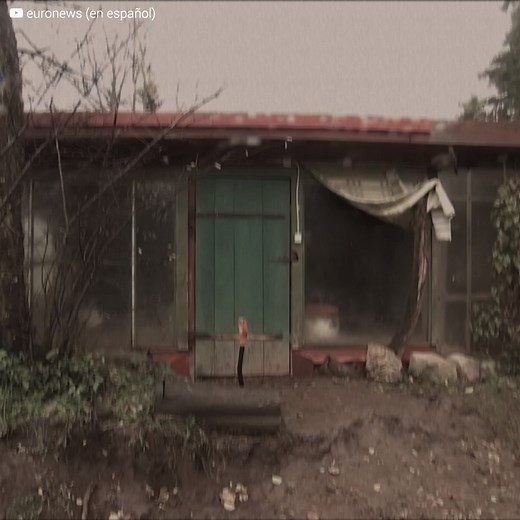 7K views · 62 reactions | Dans cette ferme en Estonie, une découverte...