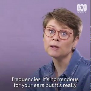 Cockatoos love to cause chaos. But is their mischief actually a sign of intelligence? | ABC Science