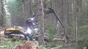 Efficient Timber Transport with Heavy-Duty Machinery