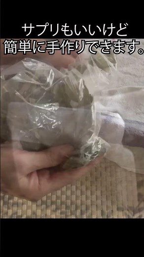 手作り柿の葉茶／＠「食＆植」チャンネル・大橋明子＃shorts ＃再生栽培＃野草