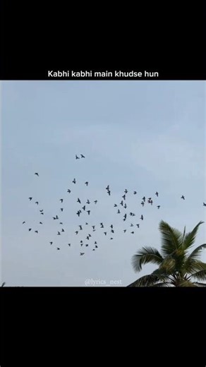 Tum itni sundar ho ki 🤍 #lyrics #songlyrics #hindisong