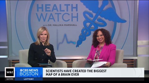 Researchers use mouse to create most detailed brain map yet