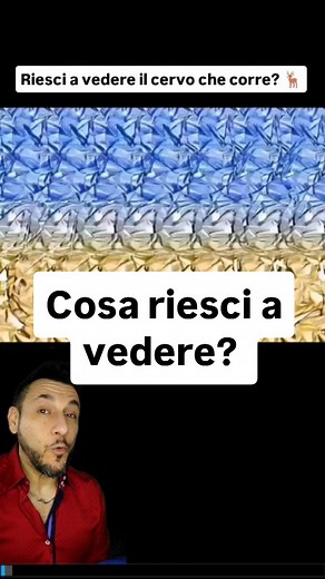 Se una persona riesce a vedere facilmente gli stereogrammi (quelle immagini che sembrano caotiche ma, se le guardi nel modo giusto, rivelano una figura tridimensionale nascosta), significa alcune cose interessanti sul funzionamento del suo cervello. Buona flessibilità cognitiva. Per “entrare” nello stereogramma, bisogna sospendere la percezione abituale (cioè lasciare andare l’automatismo che ti fa mettere a fuoco normalmente) . È una forma di “de-focalizzazione intenzionale”. In psicologia cogn
