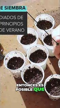 Cultiva tomates ¡Guía completa para principiantes!