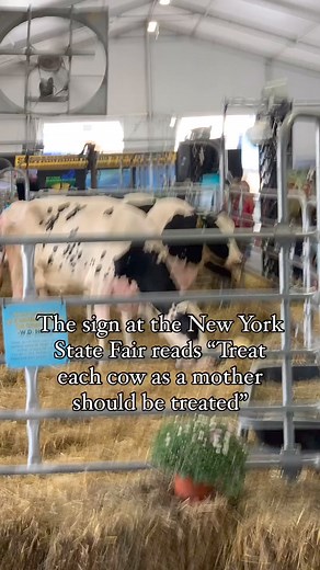 2.5K views · 43 reactions | At the New York State Fair, a sign at the...
