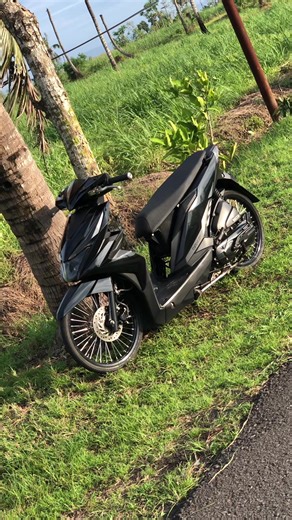 Beat Modifikasi dan Style Spring 17