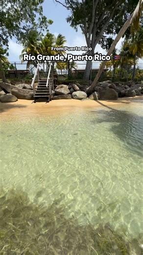 717K views · 20K reactions | Río Grande, Puerto Rico  #amazingpuertorico #puertorico @topfans | From Puerto Rico | Facebook