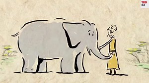 It's Elephant Appreciation Day! 'The more we learn about elephants, the more it appears that their impressive memory is only one aspect of an incredible intelligence that makes them some of the most social, creative, and benevolent creatures on Earth.' | TED-Ed