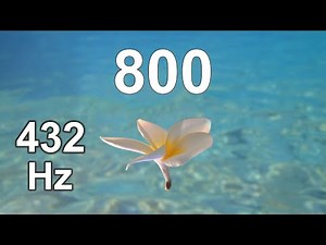 800 Second Timer - Countdown Meter