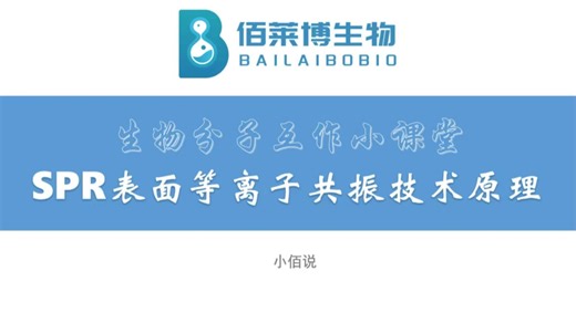 SPR表面等离子共振技术