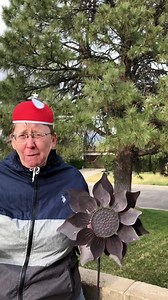 79K views · 224 reactions | Silly Sherry's back, hold onto your hat! And find out why Sherry will never be a kite flying contest judge. Spoiler alert: she hates wind. AlertProgram.com | The Alert Program | Facebook