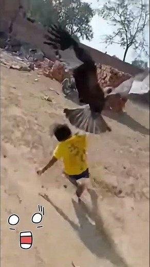 Eagle 🦅 Attacks Young Boy 👦 Terrifying Moment Caught on Camera! 😱 #eagles #shorts #trending