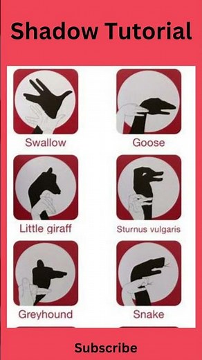 Shadow art tutorial/how to make animal puppets? #riddle #guess #shorts