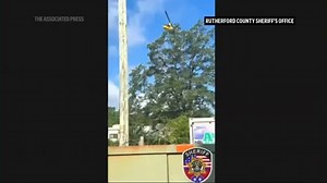 Zebra that eluded searchers for days captured and airlifted in Tennessee