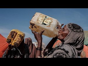 L'Afrique de l'Est face à sa pire sécheresse depuis 40 ans