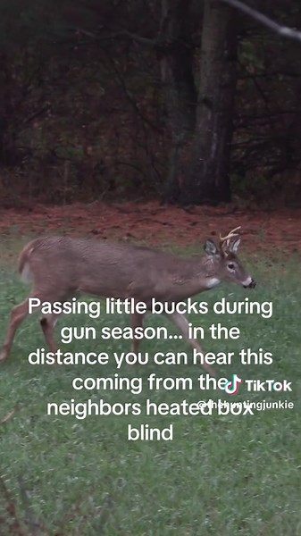 Goodluck little guy! #hunting #whitetail #outdoors #rut #thehuntingjunkie