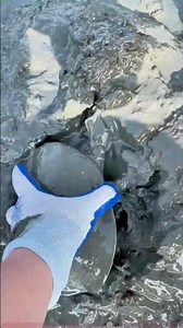 Full Guide to Catching Turtles Outdoors: From Mud to Net!