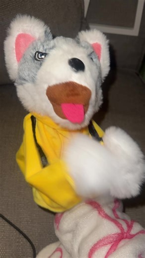 Funny Puppet Skit That Will Make You Laugh