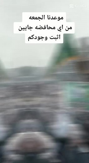 Public Demonstration Gathering in Urban Setting