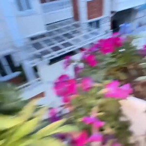 Didi Meine Pura Ghar🏠 Mai Flowers 🌹🌺 Lagaye 🤗 | (Ghar Ko Pura Garden Banaya) 🙈 Part 28 | Aayuzeh Vlogs