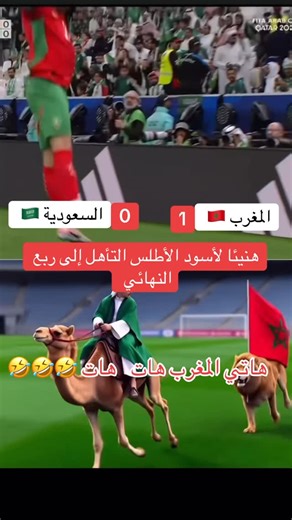 Zozo on Instagram‎: "ألف مبروك 🇲🇦❤️💯"‎