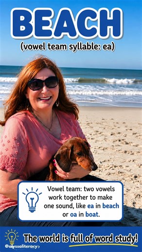 Teach Your Child to Spot Syllable Types | Reading Help for Grades 3-8