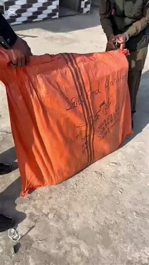 Explore Unique Kites at Our Official Shop