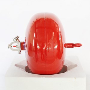 [Hot Item] 6kg Automatic Dry Powder Fire Extinguisher