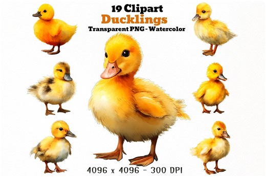 Duckling Clipart PNG, Cute Baby Duck PNG Set, 19 Watercolor Ducklings, Farm Animal Sublimation - Etsy