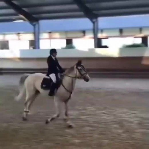 because a lot of you liked this clip in one of my last video's:)#horsefailsxx #foryoupage #viral #foryou #fypシ #fyp #horsefail #fail #⚠️tw⚠️