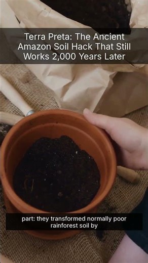 Terra Preta: The Ancient Amazon Soil Hack That Still Works 2,000 Years Later