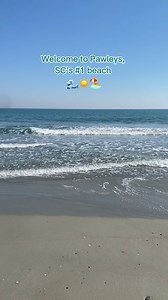 27 reactions | Welcome to South Carolina's #1 beach, Pawleys Island ️☀️ Get away today: https://bit.ly/hammockcoast. Supported by Discover South Carolina | South Carolina's Hammock Coast | Facebook