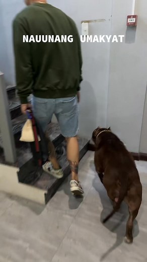 14K views · 559 reactions | HAHAHA KRONOS NAUUNA KA KASI EXCITED KA  | SAM Walastik | Facebook