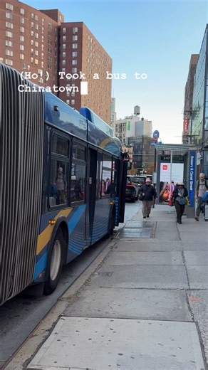1.2K views · 25 reactions | Took a bus to Chinatown and somehow ended...