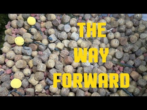 A different approach to CARP FISHING for me on this lake