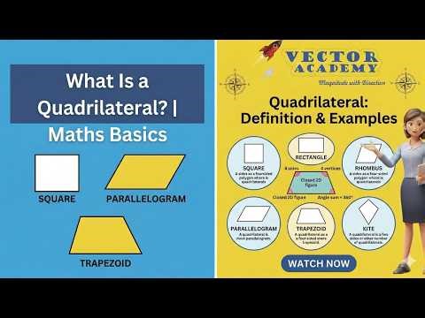 What Is a Quadrilateral? | Definition & Examples | Maths Basics | Vector Academy