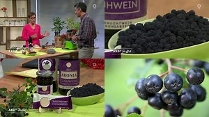 Ideal im Frühjahr anbauen - Aronia Sehr pflegeleicht, sehr ertragreich und sehr genügsam! Sie ist ein starkes Antioxidans Frühjahr oder Herbst anbauen Trockene und kalkhaltigen Böden schlecht Sonniger oder halbschattiger Standort Die Apfelbeeren (Aronia) sind eine Pflanzengattung von drei Aronia-Arten innerhalb der Familie der Rosengewächse (Rosaceae). Sie stammen ursprünglich aus dem östlichen Nordamerika und wachsen dort als Strauch von ein bis zwei Metern Höhe. Quelle: ARD Buffet Dauer: 2:31 