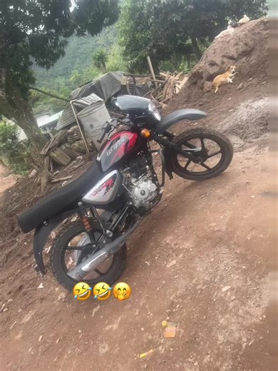 Videos de Olvin—Reyes_🍀✌️ (@reyes_universo) con “Pata de chucho - 𝒲𝑒𝓁𝓂𝑒𝓇 The Black”