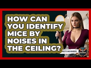 How Can You Identify Mice By Noises In The Ceiling? - Insects and Invaders