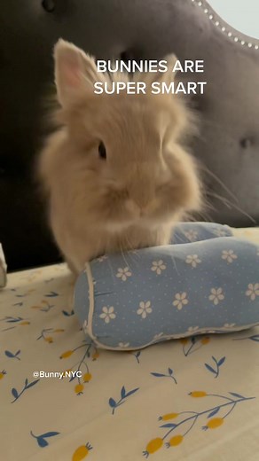 miffymikka on TikTok