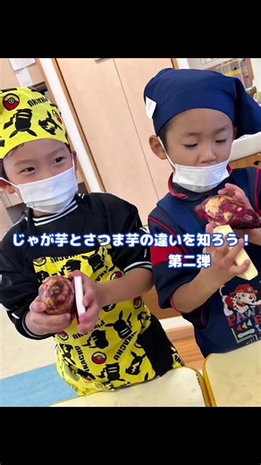 じゃがいもとさつまいもの違いを学ぶ