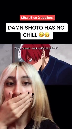 Shoto Todoroki Scar Scene in My Hero Academia Explained