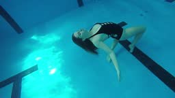 Professional female swimmer diving in the swimming pool.