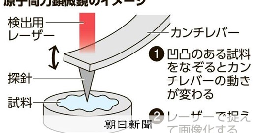 てくてく歩くたんぱく質、動画で捉えた　15年かけた日本発の顕微鏡