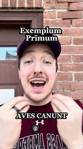 How did an ancient Roman say "bird" in Latin?