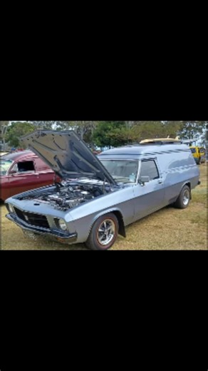 14K views · 501 reactions | Some very beautiful panel vans | Panel vans Australia | Facebook