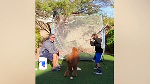 BEST FUNNY VIDEOS 2021 COMPILATION