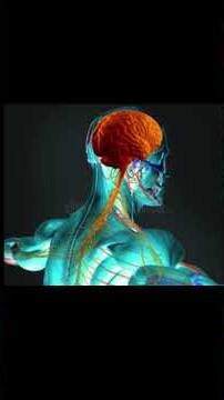 Behavior What is it? #mentalhealth #mentalhealthsupport #psychologyfact #mentalhealthtok #behavior