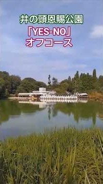 【東京の夏の風景】オフコースさんの「Yes-No」です。東京都杉並区久我山、三鷹市の京王井の頭線、井の頭恩賜公園の風景です。