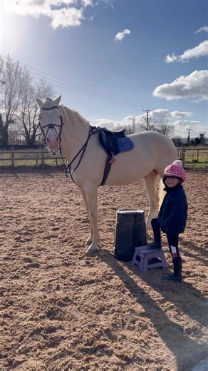 2.2M views · 21K reactions | Unedited version of Ivy getting onboard @crownsaceofpearl #horse #equestrian #riding #stallion #showjumping #trending | Jumping with Ivy | Facebook